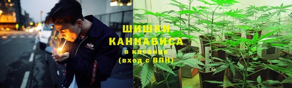 ALPHA-PVP Аркадак